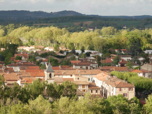 Couvreur Cagnac les Mines 81130