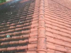 renovation toiture castres